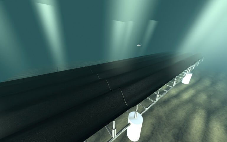 seafloor_carpet