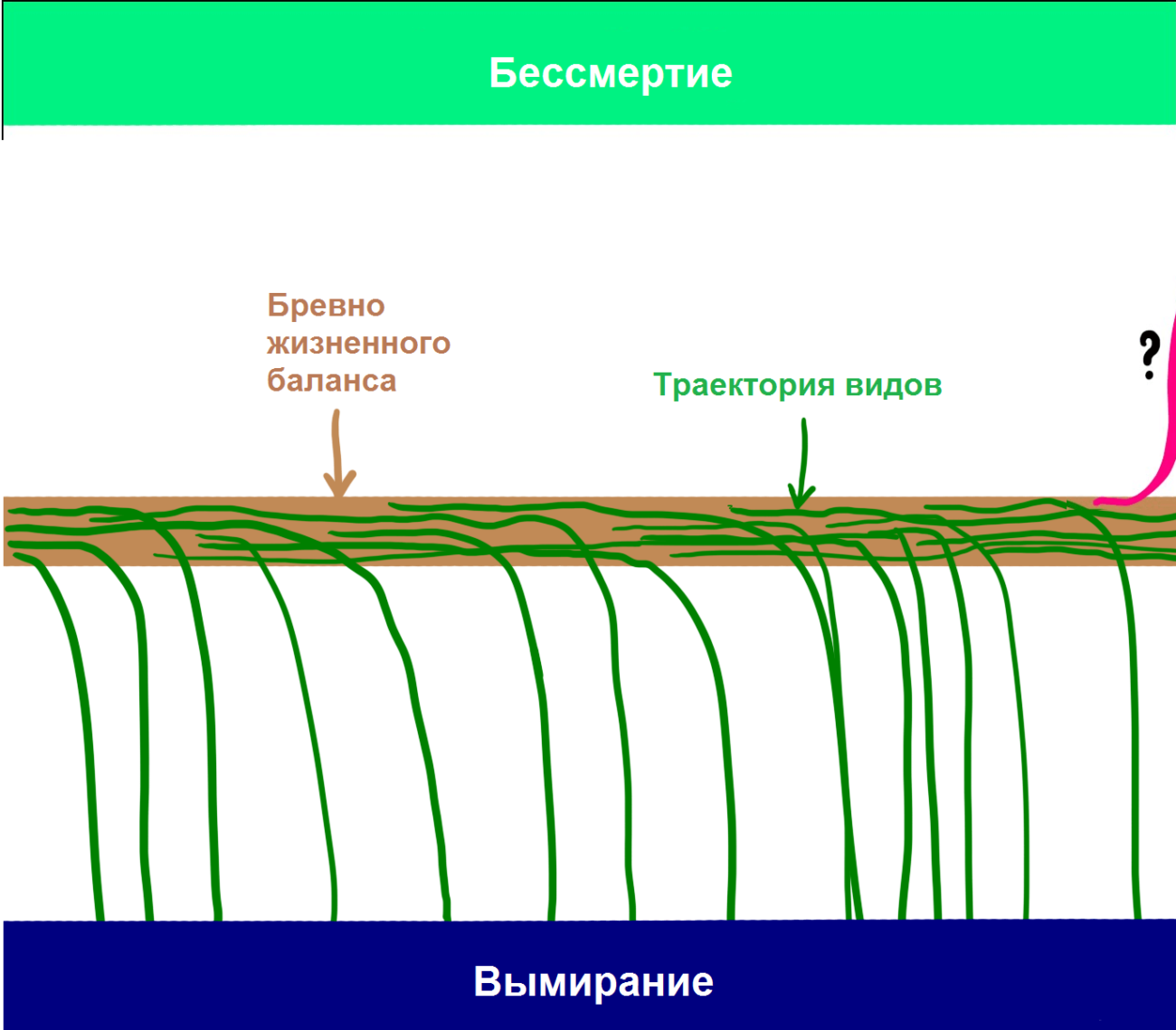 Бревно Бревно