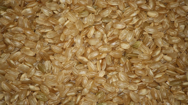 Короткозерный коричневый рис