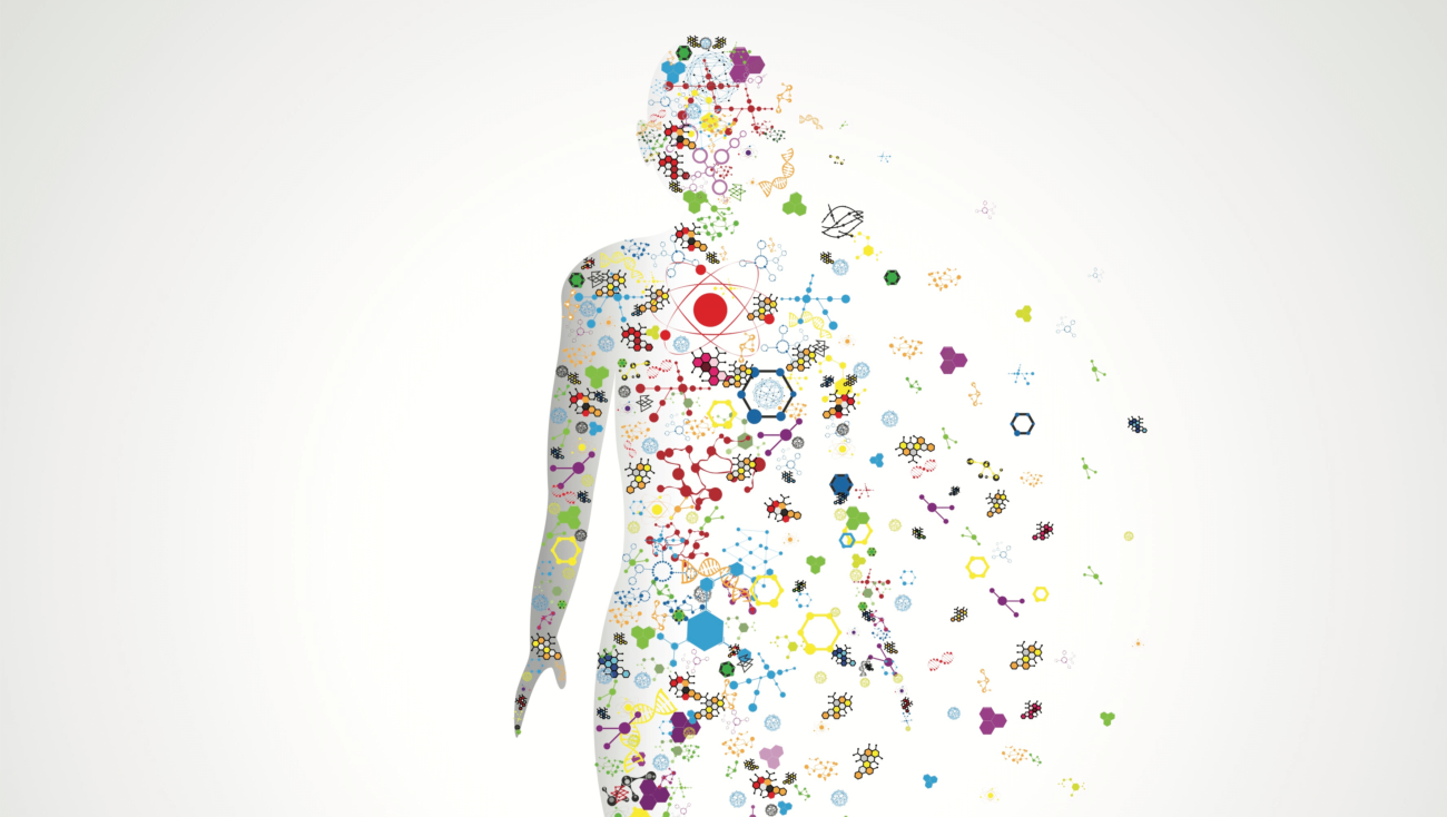 Образ человека Образ человека