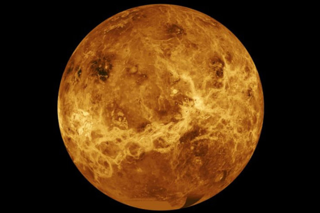 venus venus