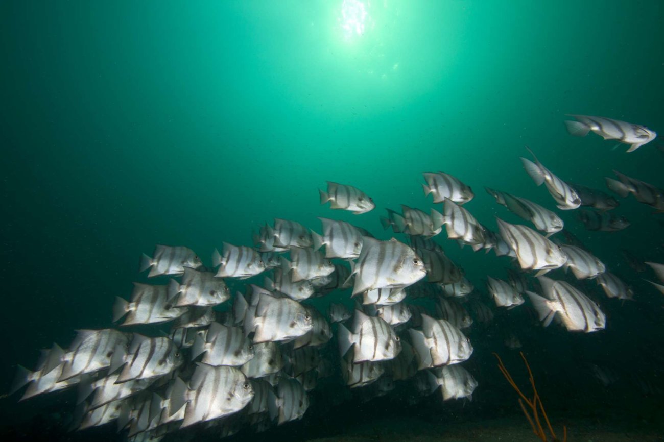 5809244931_3de9c26159_o 5809244931_3de9c26159_o