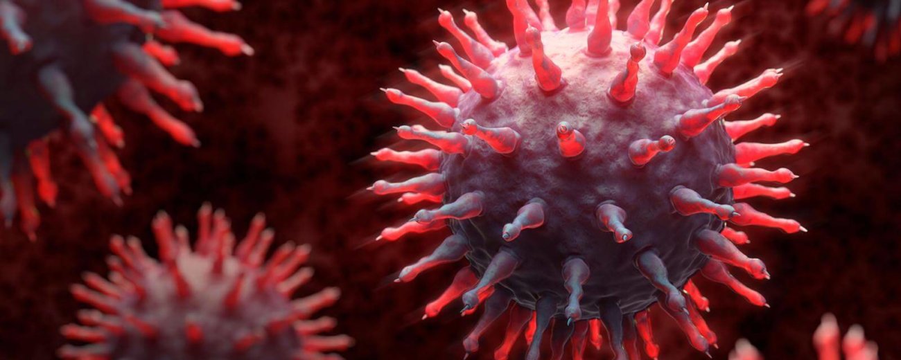 Вирусы Вирусы