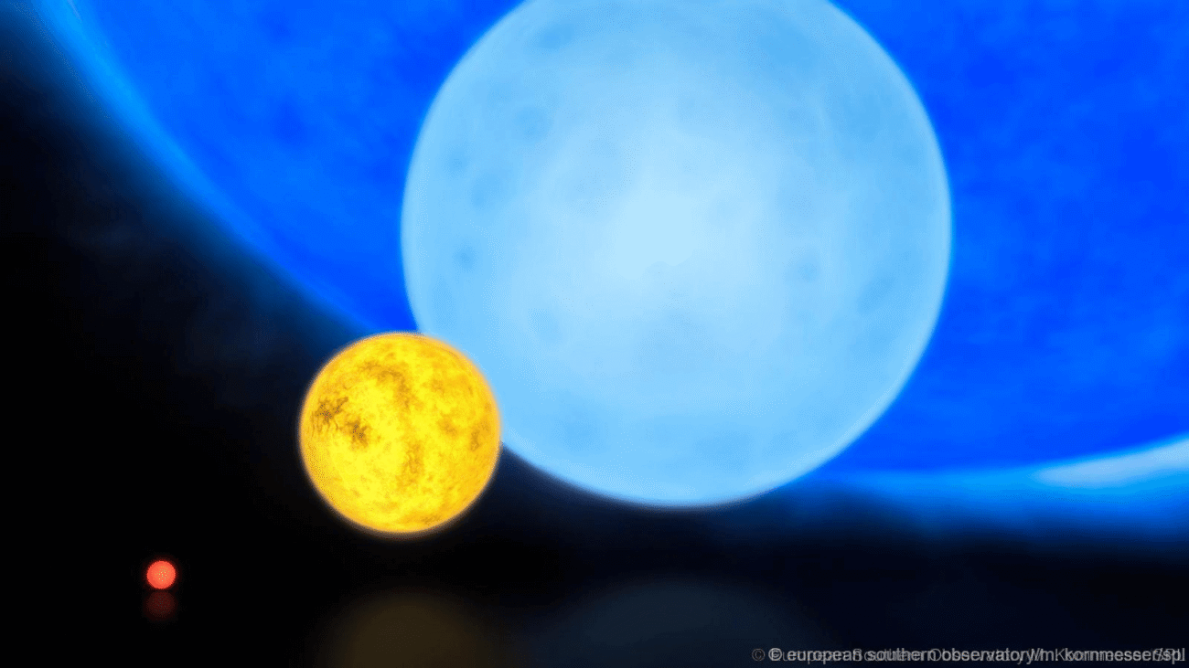 Звезды Звезды