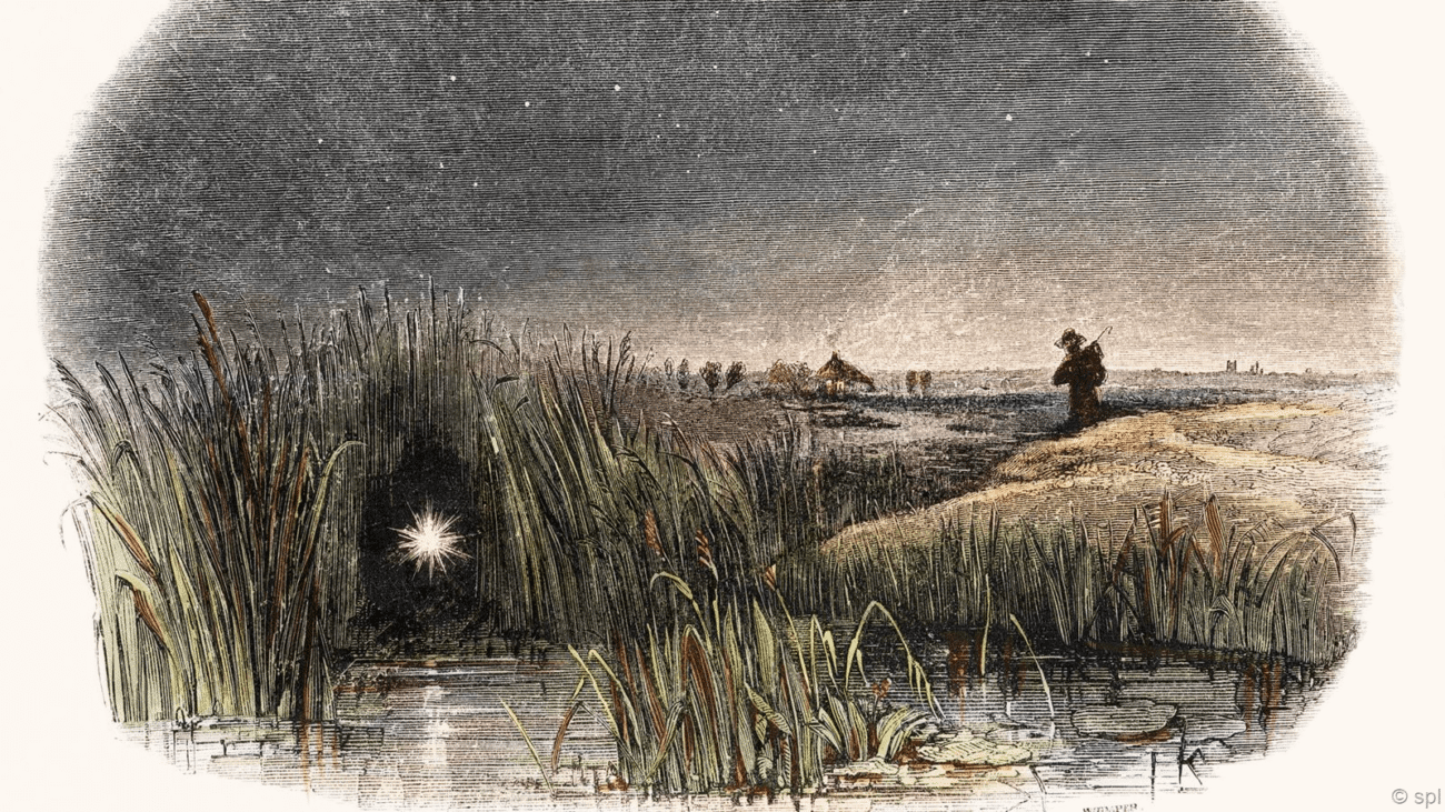 Блуждающий огонек Блуждающий огонек