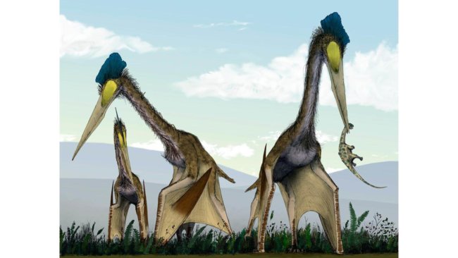 птерозаври