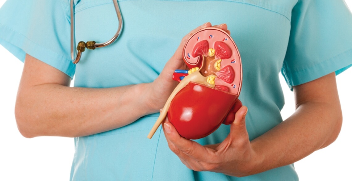 жительницам великобритании пересадил почки робот