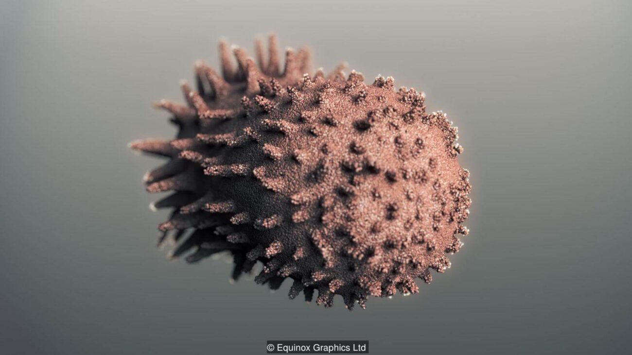 Клетка Клетка