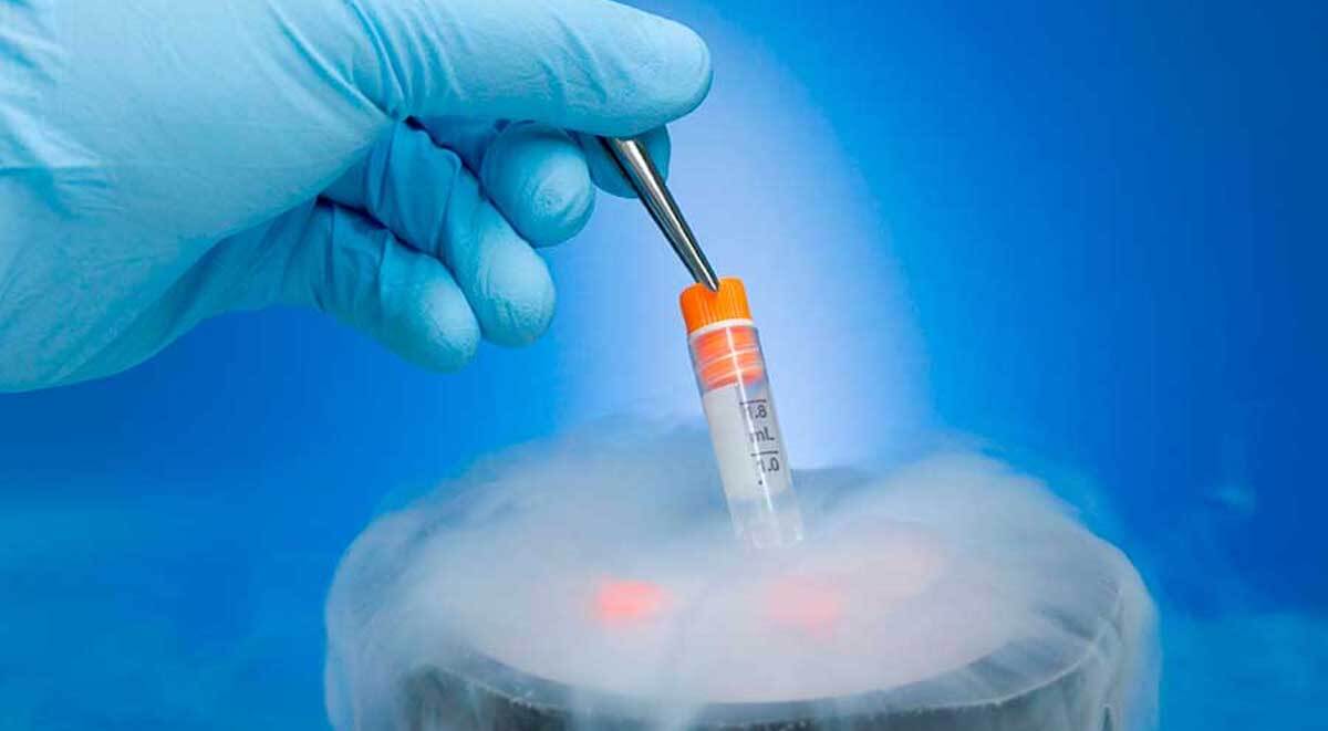 Ученые научились возвращать к жизни замороженные органы
