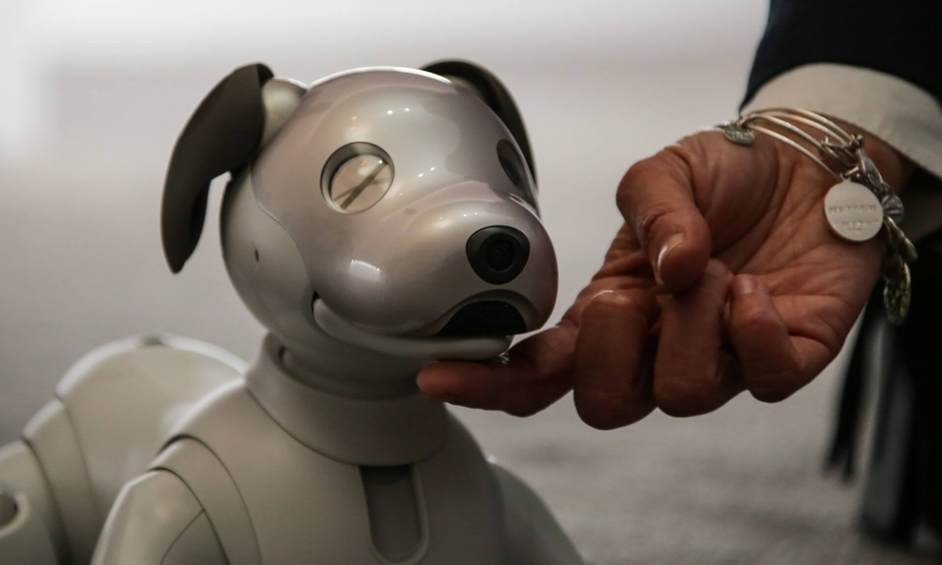 #CES 2018 | Посетители CES 2018 пришли в восторг от новой версии робота Aibo