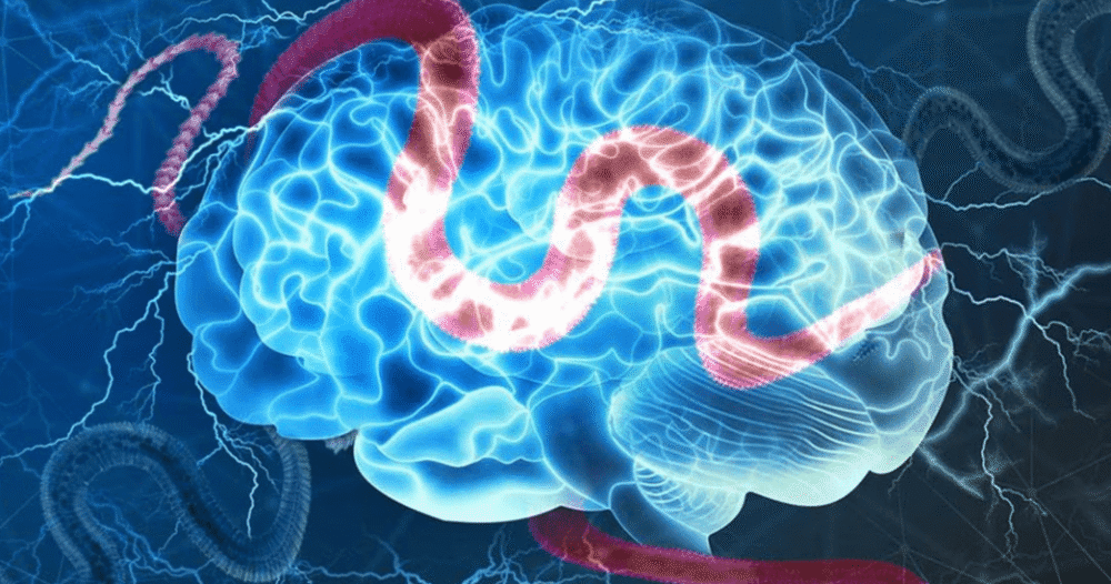 � ������. ��������� �������� ��������!