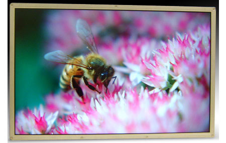 DisplayPort от Samsung