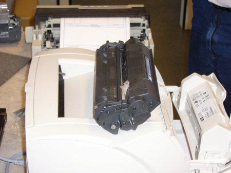 Mouse_3