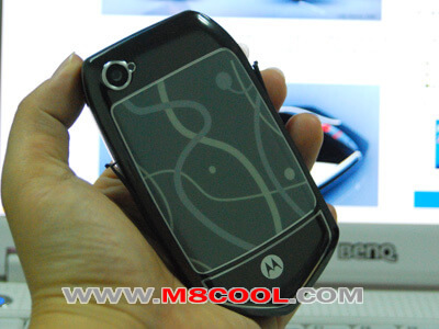 moto-nest-back moto-nest-back