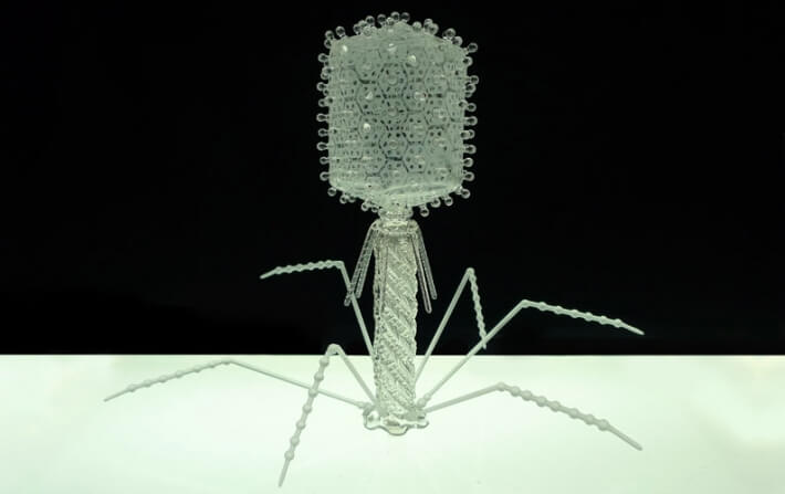 T4Bacteriophage T4Bacteriophage