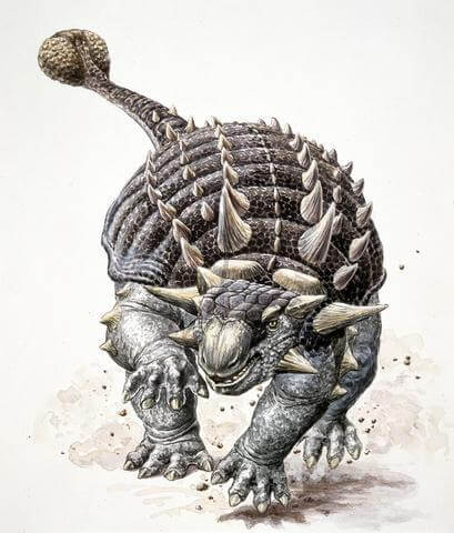 ankylosaurus ankylosaurus