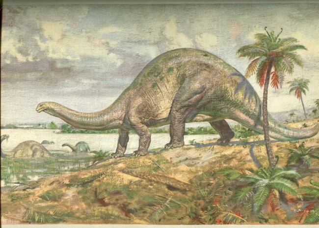 bronto bronto