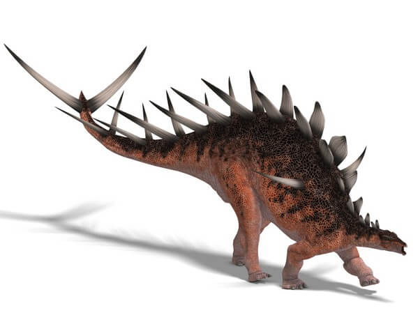 kentrosaurus kentrosaurus