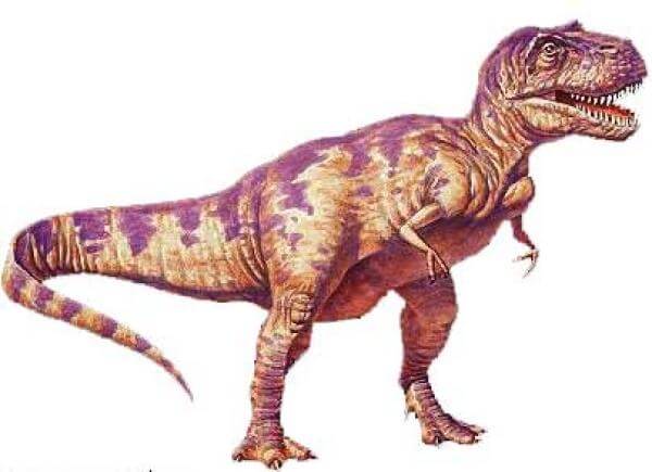 t-rex t-rex