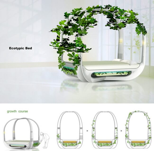 ecotypic-be ecotypic-be