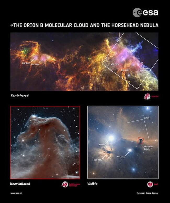 hubble-herschel-horsehead-nebula-3 hubble-herschel-horsehead-nebula-3