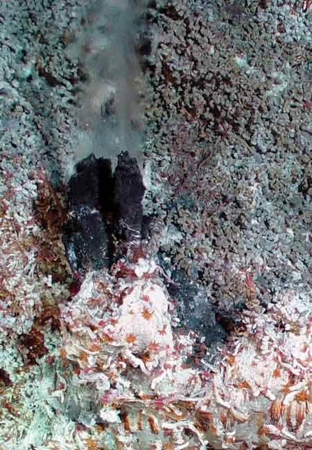 hydrothermal hydrothermal