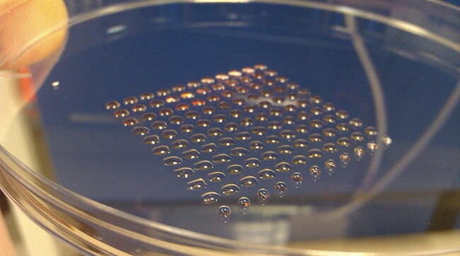 3dprintedcells 3dprintedcells
