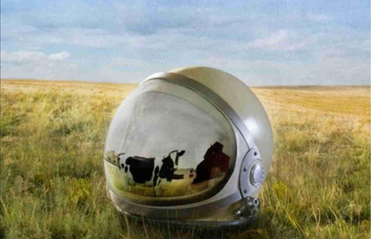spacex-farmer-job-astronaut spacex-farmer-job-astronaut