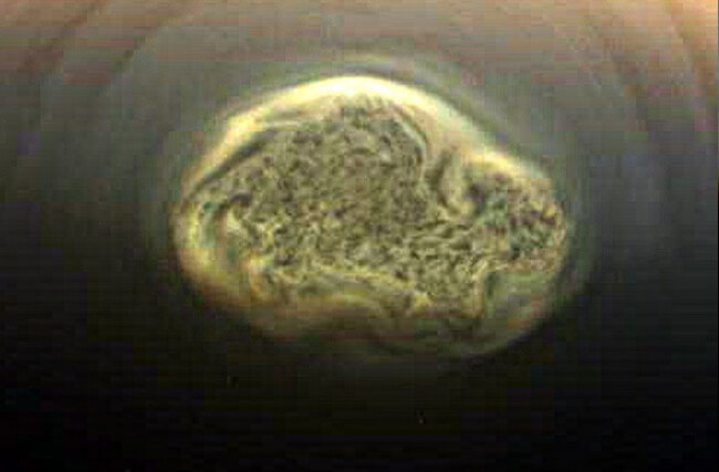 titan titan