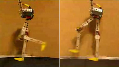 Самый быстрый робот на двух ногах. Фото.