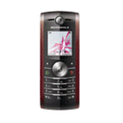 Motorola W208. Фото.