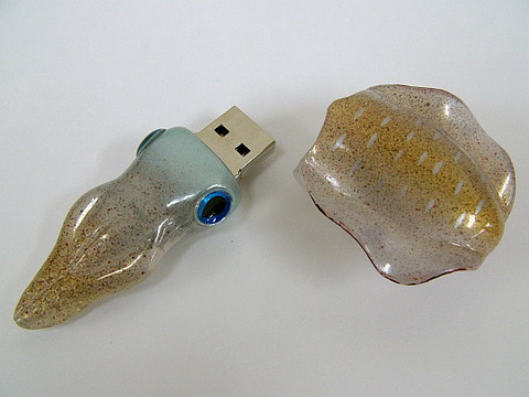 USB Кальмар. Фото.
