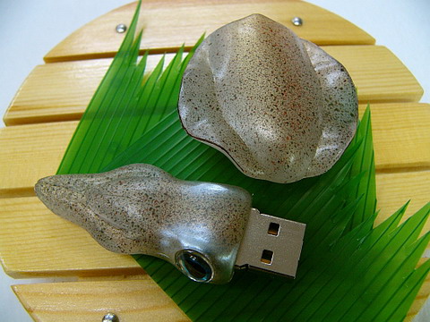 USB Кальмар. Фото.