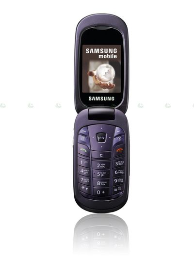 samsung_sgh-l320_2.jpg