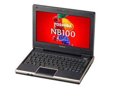 Новички в семействе Toshiba NB100. Фото.