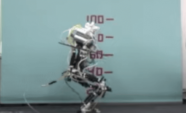 Атлет — робот-спринтер. Атлет — робот-спринтер. Фото.
