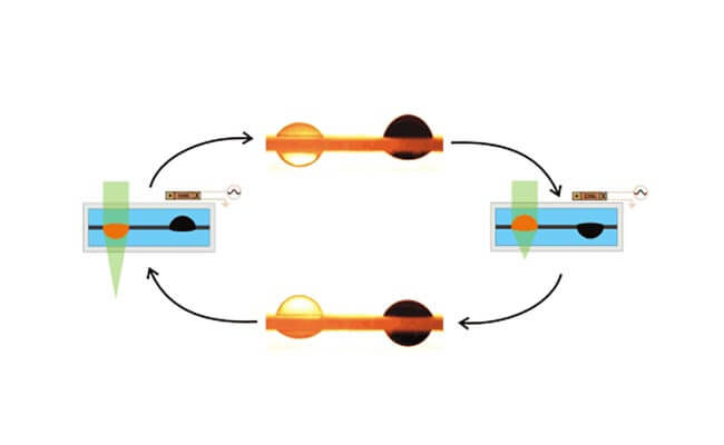 Новая технология автофокуса для мобильных устройств. Новая технология автофокуса для мобильных устройств. Фото.