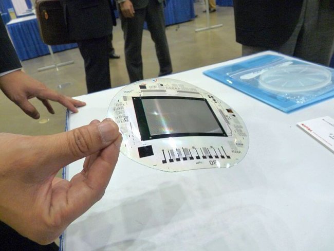 Toshiba разработала гибкую OLED-панель. Фото.