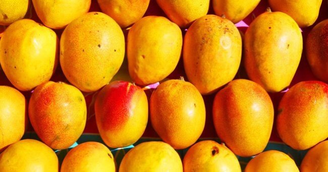Телефоны на ОС Mango появятся в сентябре. Фото.
