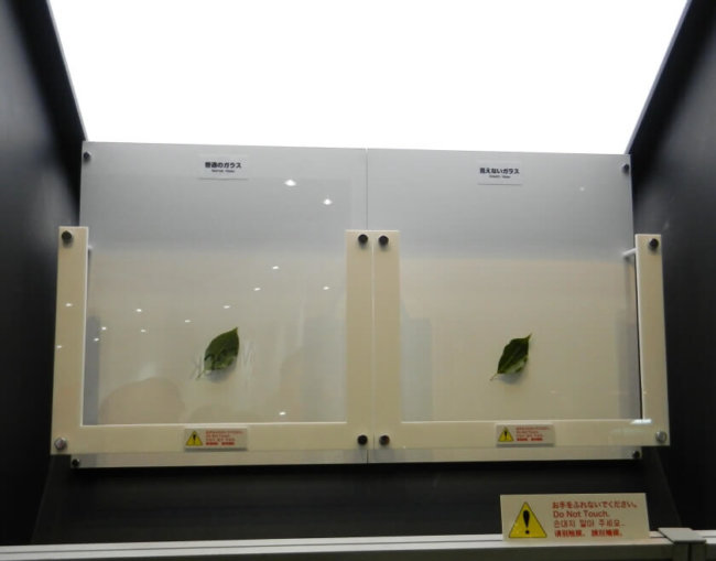 В Японии изобретено «невидимое стекло». Фото.