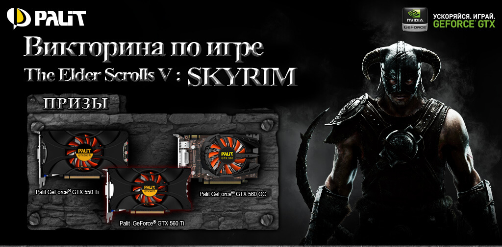 Palit_Skyrim_Gear_Up