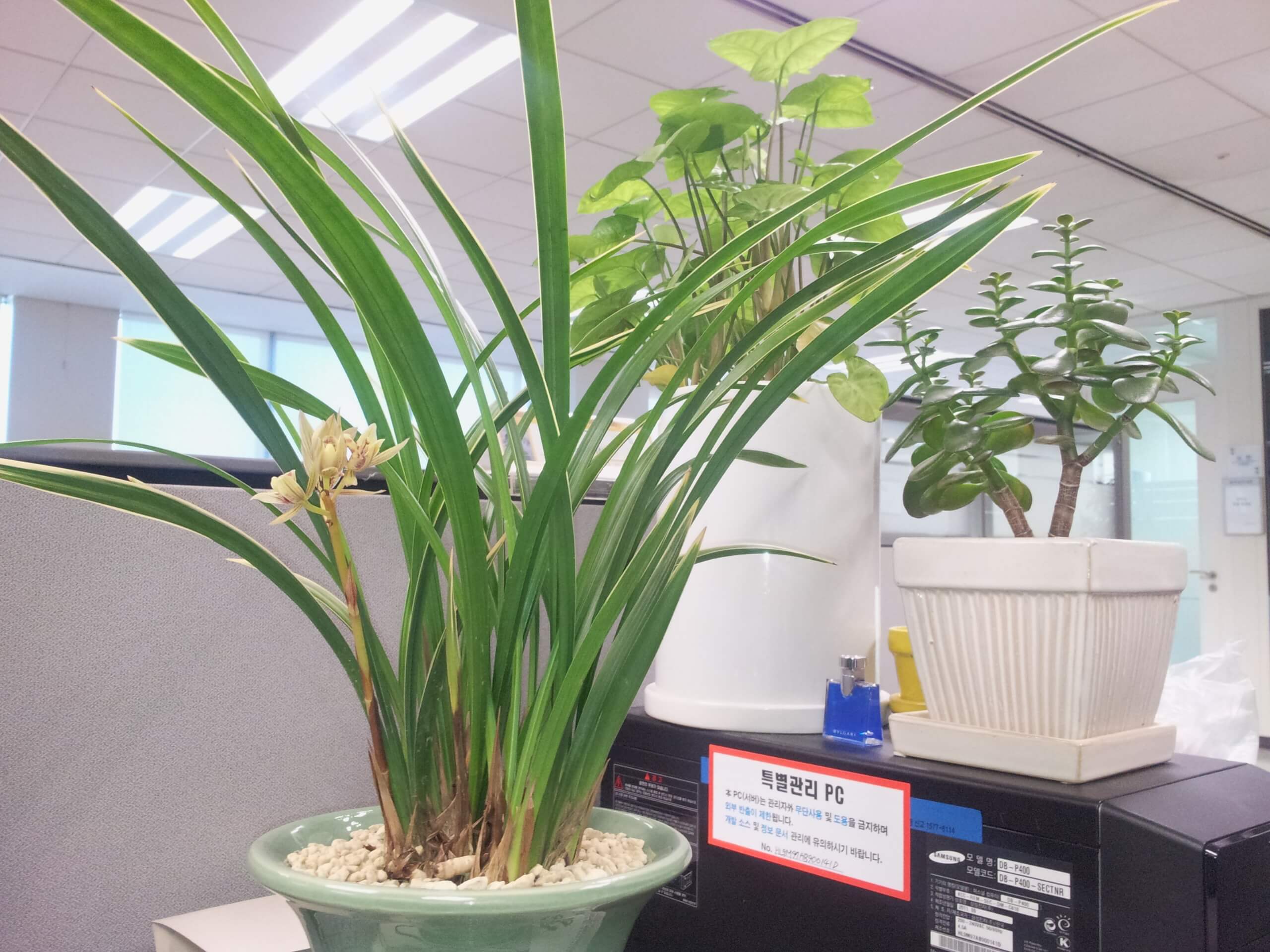 Samsung-Galaxy-S-III-large