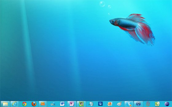 19-Windows-8