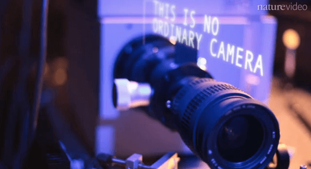 Создана лазерная камера для съемки скрытых объектов. Фото.