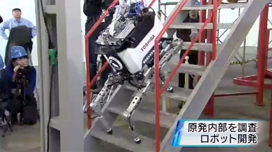 Quadruped