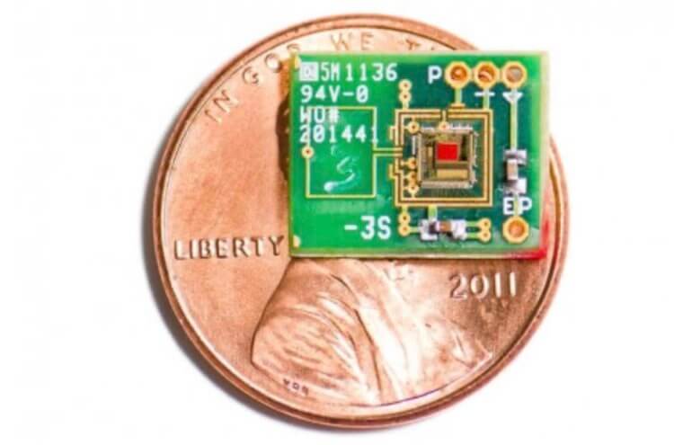 Вымой уши, прежде чем вставить чип. Этот чип действительно небольшой. Фото.