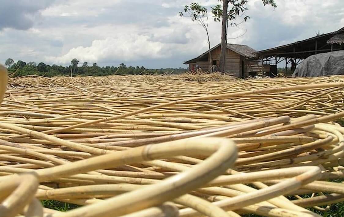 Обычно из ротанга делают мебель. Фото.