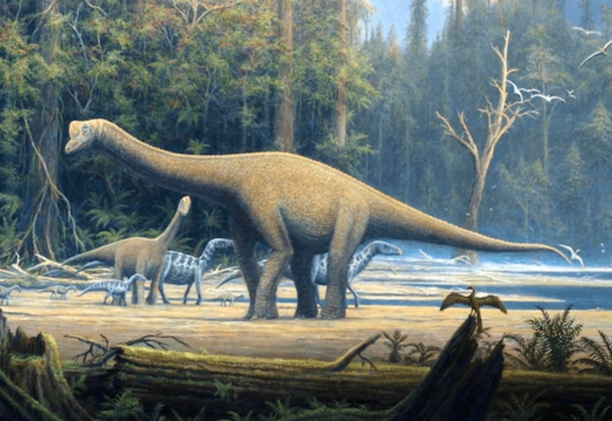 #чтиво | Каковы динозавры на вкус? Мало кто задумывался о вкусе мяса динозавров. Фото.