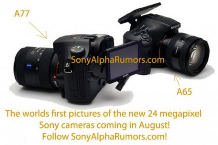 Sony A65 и A77 попали в кадр. Фото.