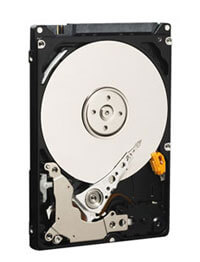 Western Digital анонсирует 500ГБ винчестер Scorpio Blue. Фото.